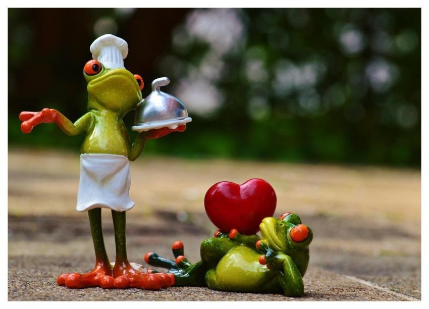 Frog Cook Love Valentine's Day