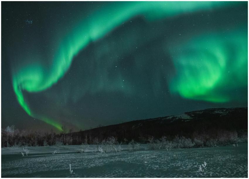 Enchanting aurora borealis illuminating a starry n