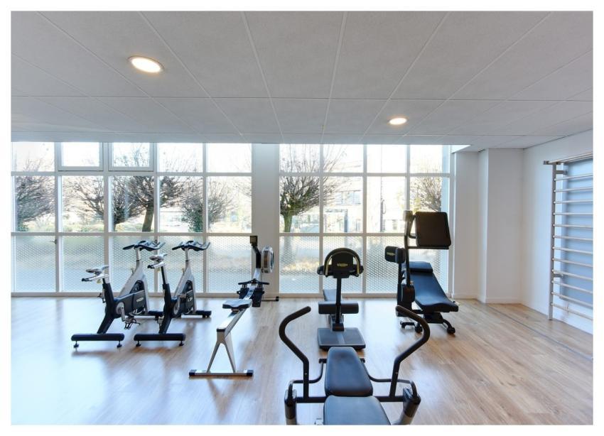 Gym Fitness Exercise Workout