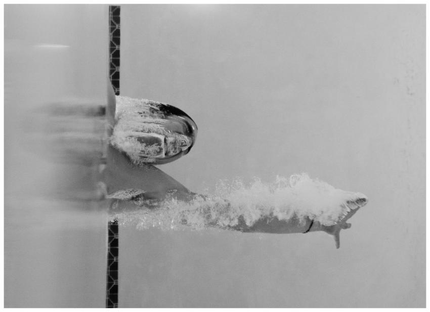 Monochrome photo of a swimmer diving underwater, s