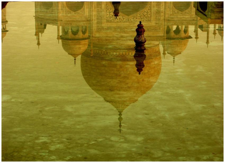 Stunning reflection of the Taj Mahal's dome in tra