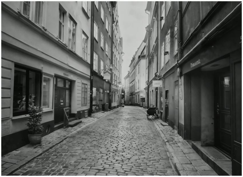 Black and white view of a narrow cobblestone stree