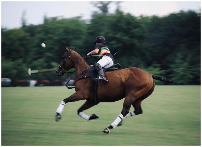 An intense polo match capturing a rider skillfully
