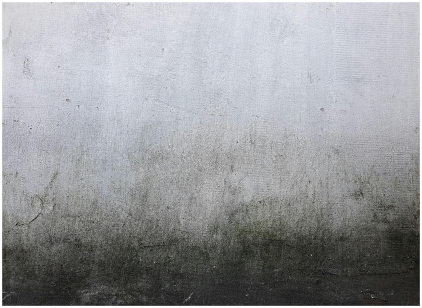 Close-up of a textured concrete wall with subtle g