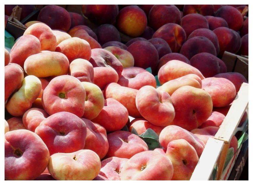 Peach Vineyard Peach Fruit Healthy