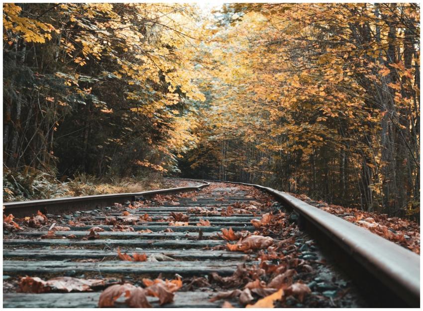 Rustic railway tracks surrounded by vibrant autumn