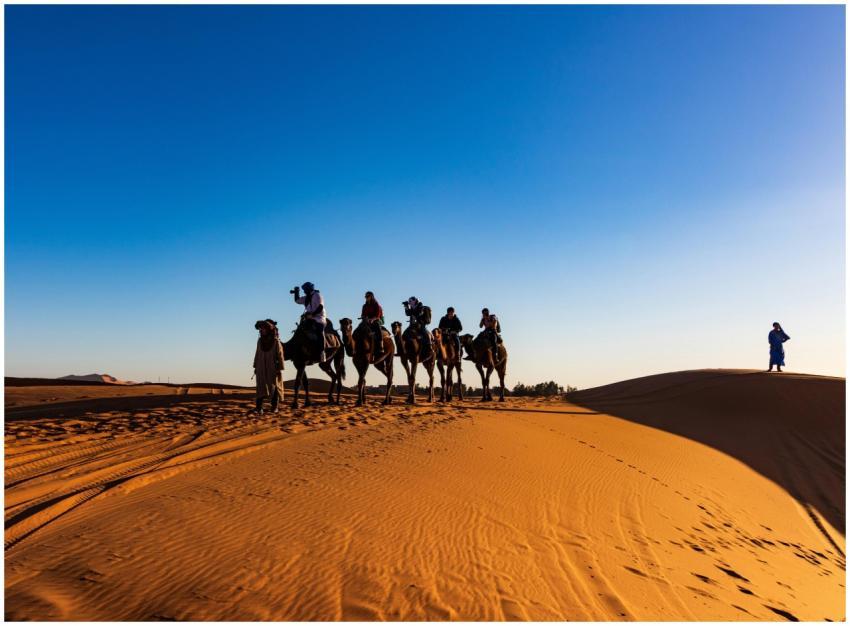 A group of travelers on camels crossing the sandy
