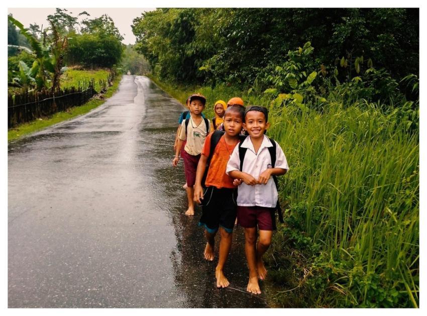 School Nature Rain Education