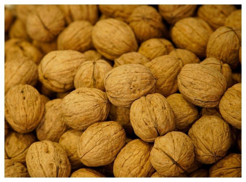 Walnuts Nuts Food Harvest