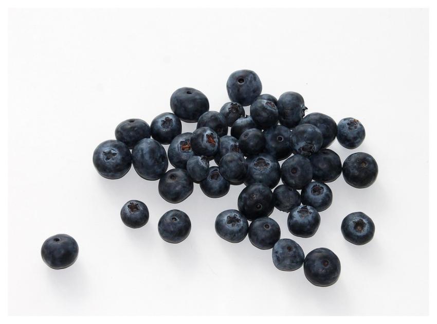 Blueberry Fruit Food Berry