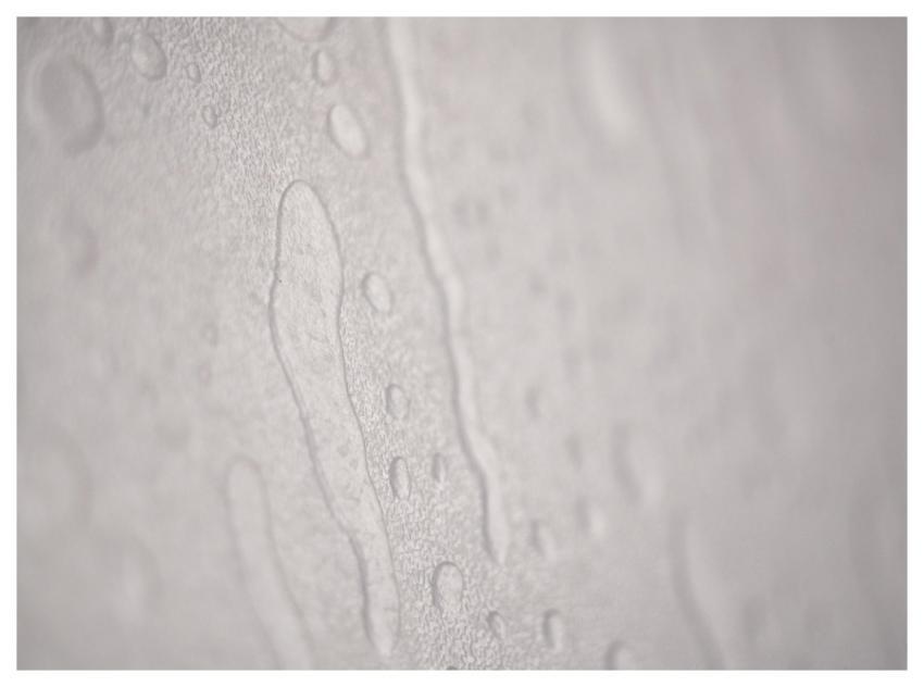Wet Abstract Texture Gray Abstract