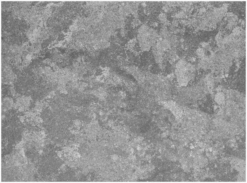 Close-up of a gray cement wall with rough, texture