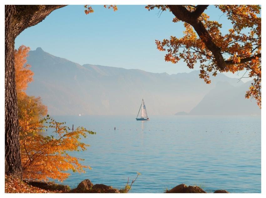 Nature Landscape Autumn Fall