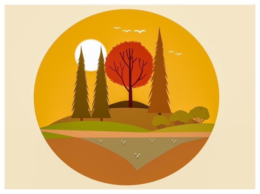 Fall Autumn Trees Hills