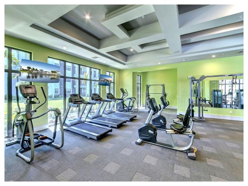 Workout Gym Exercise Fitness