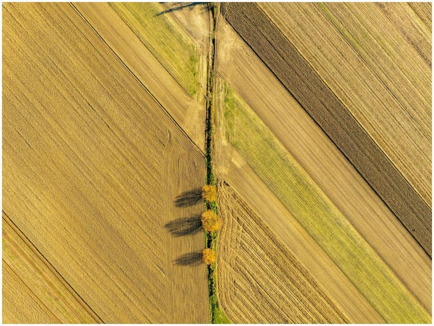 Aerial Geometric Farmlands Garesnica