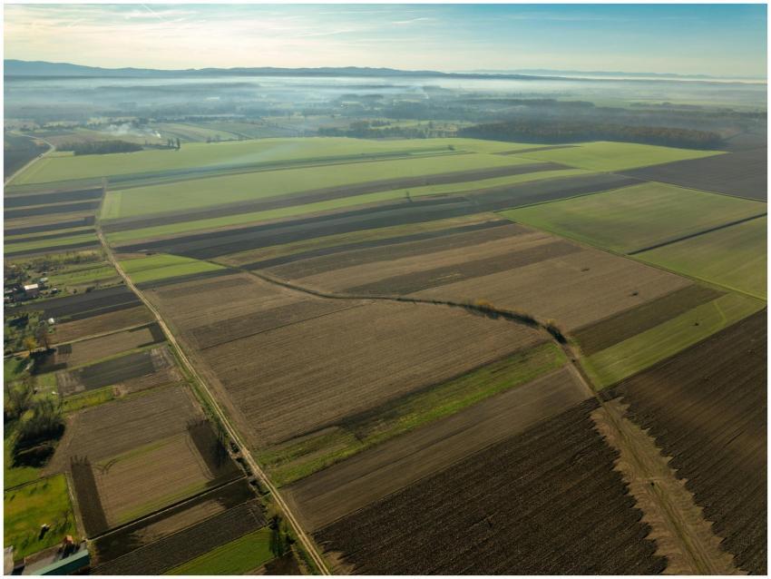 Aerial Fields Garesnica Croatia