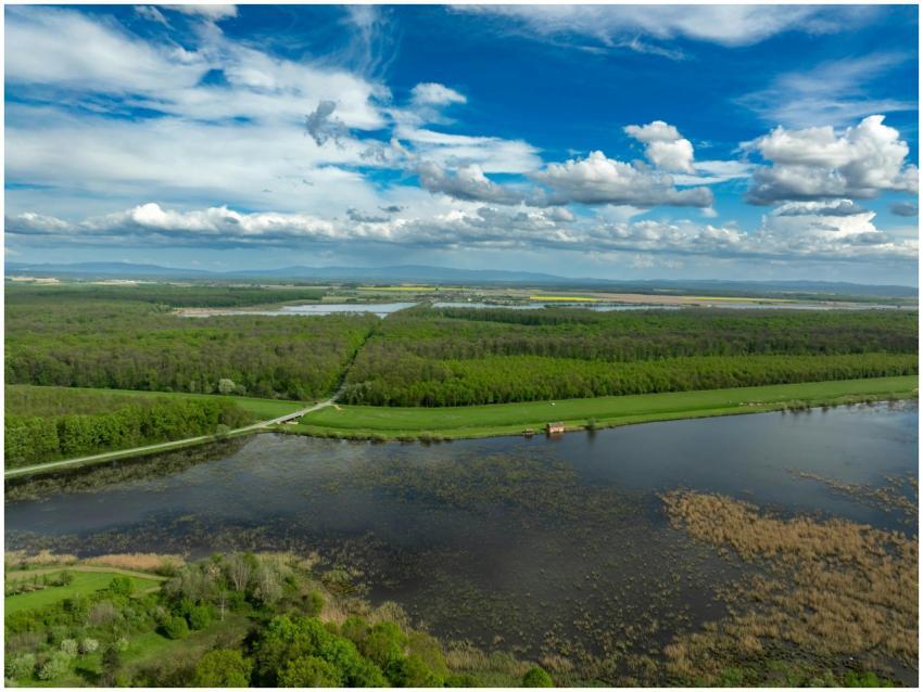 Aerial shot of lush greenery and serene rivers nea