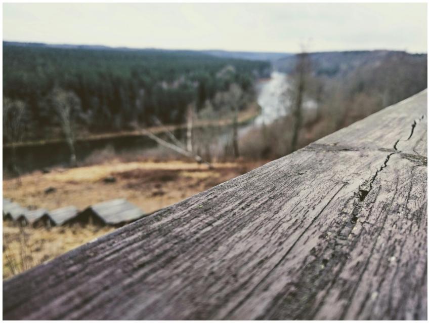Capture of a scenic forest and river view from a r