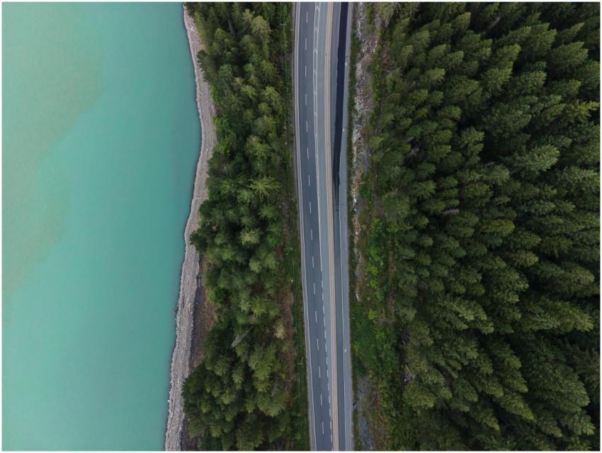 Aerial view showcasing a serene road bordered by l