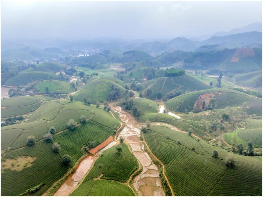 A breathtaking aerial view of lush green terraced