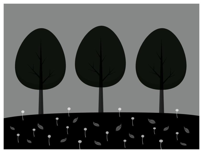 Trees Free Wallpaper Flower Wallpaper Leaves