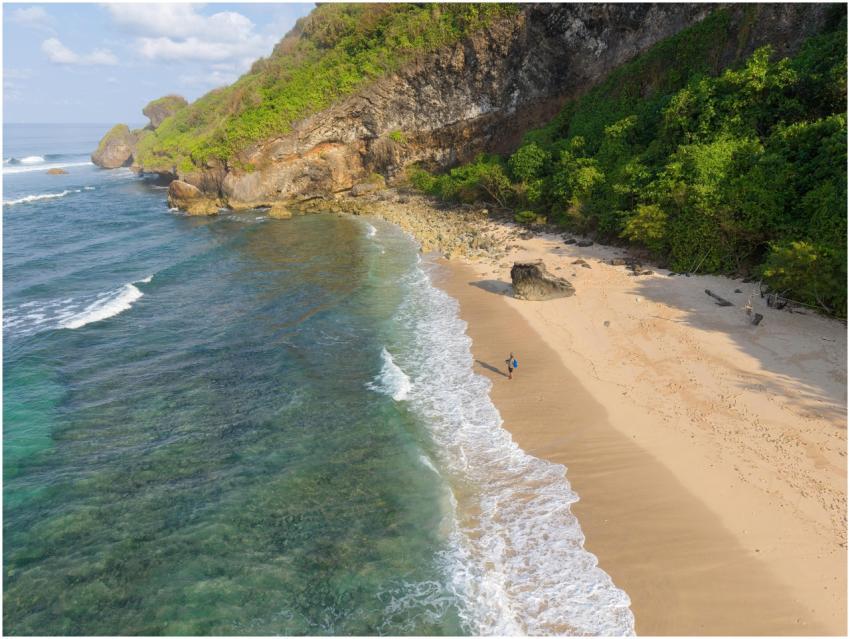 Scenic Aerial Beach Bali