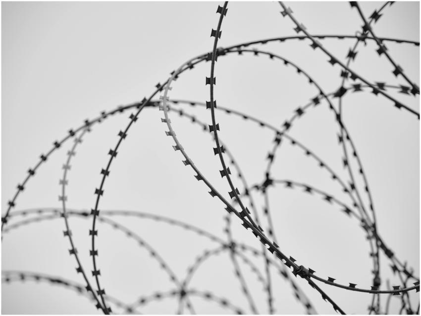 Intricate loops of barbed wire in monochrome, emph