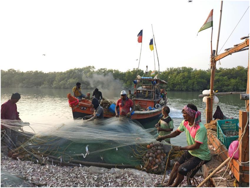 Fishermen Hauling Net Full