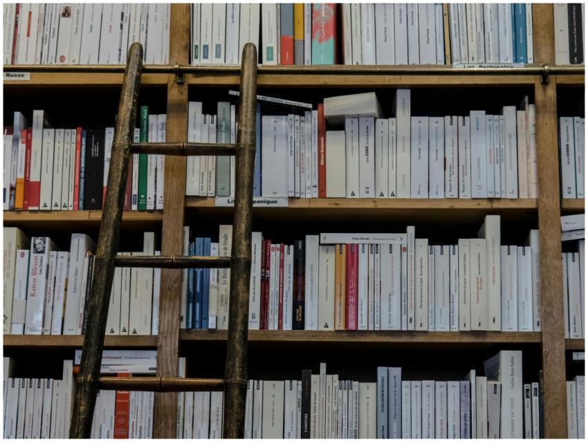 A wooden ladder leaning against a full bookcase in
