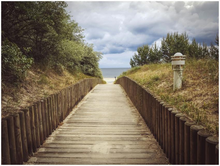 A tranquil wooden path surrounded by nature leadin