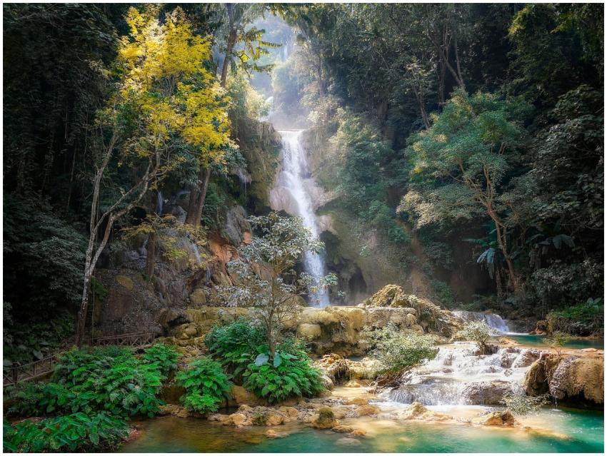 Serene waterfall cascading through dense jungle in