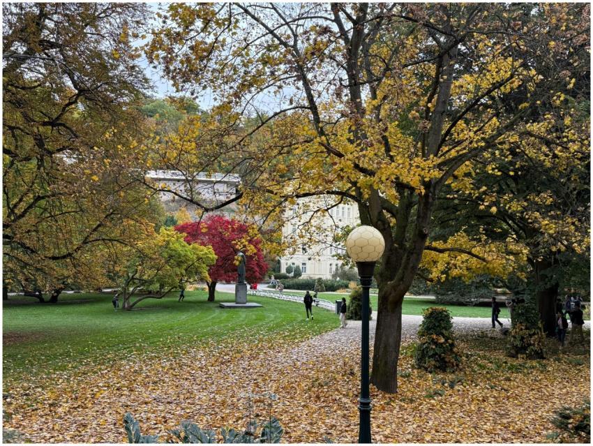 Serene autumn park scene with colorful foliage and