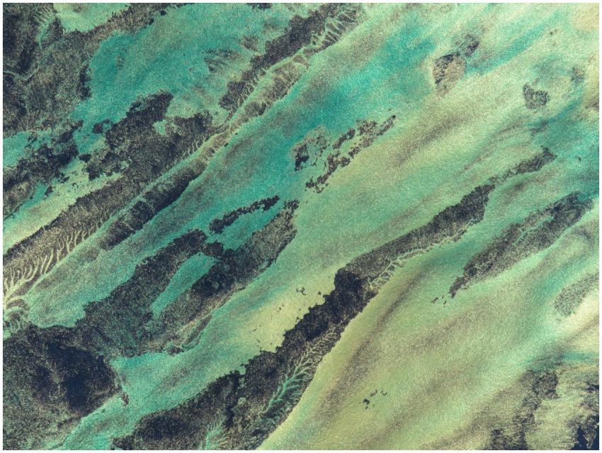 A vivid abstract art piece featuring earth-toned t