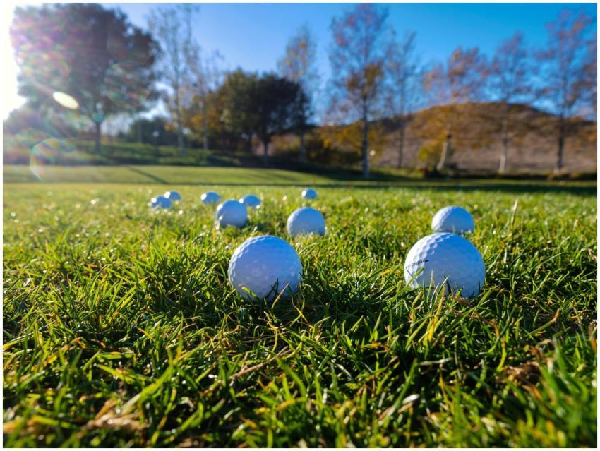 Golf balls scattered on a lush green course under