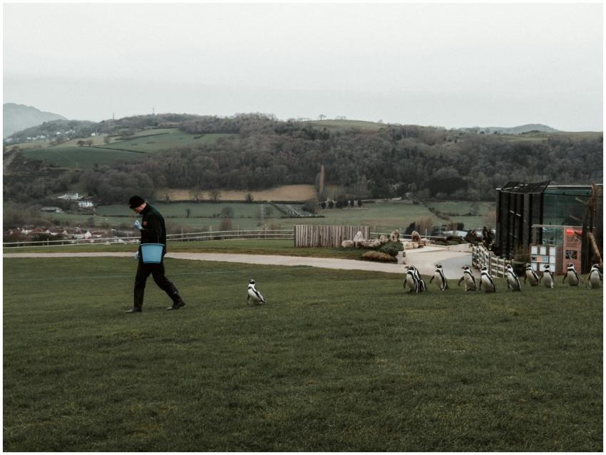 A person with a bucket walks on a grassy field fol