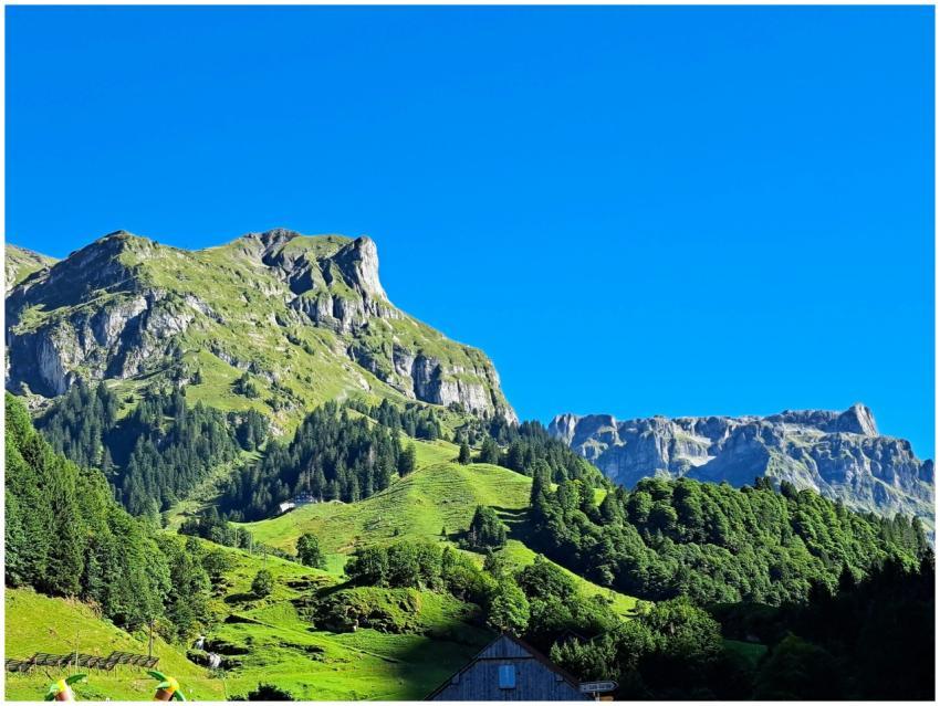 Free stock photo of berge, bergwald, blauer himmel
