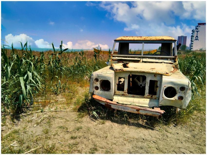 A vintage rusty truck surrounded by tall grasses i