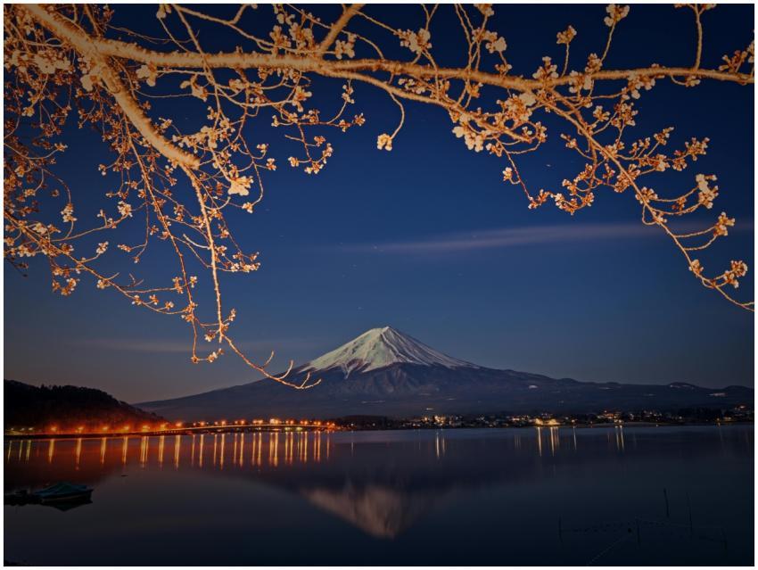 Serene nighttime scene of Mount Fuji with cherry b