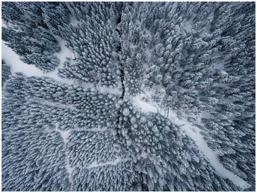 Stunning aerial shot capturing a snowy forest with