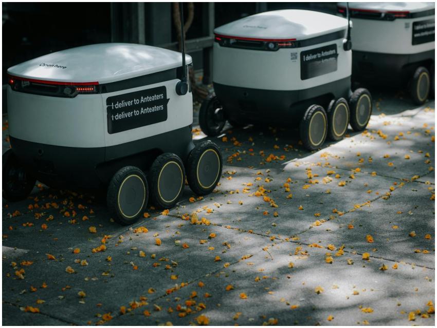 Futuristic delivery robots navigating a leaf-strew