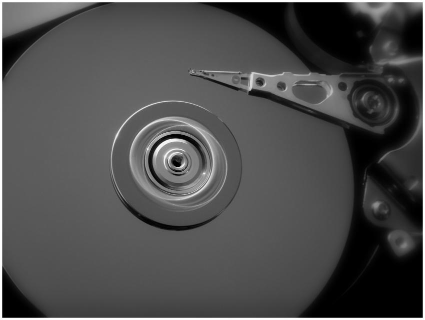 Detailed black and white close-up of an open hard