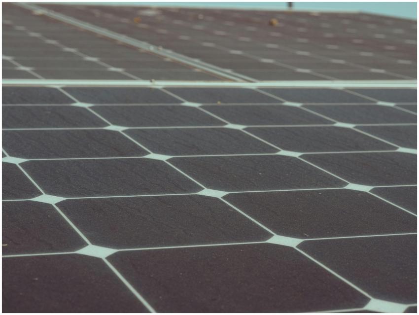 Detailed close-up of solar panels showcasing renew