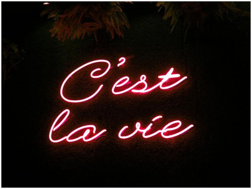 Bright neon sign with 'C'est la vie' phrase in Mon