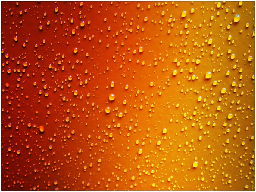 Colorful close-up of water droplets on an orange b