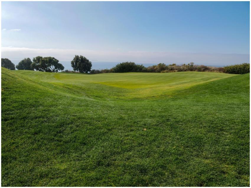 Tranquil view of a lush green golf course under a