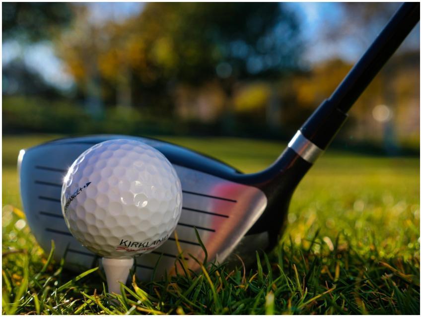 Detailed close-up of a golf ball and club on lush