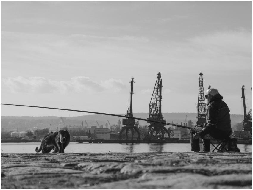 Black White Silhouette Fisherman