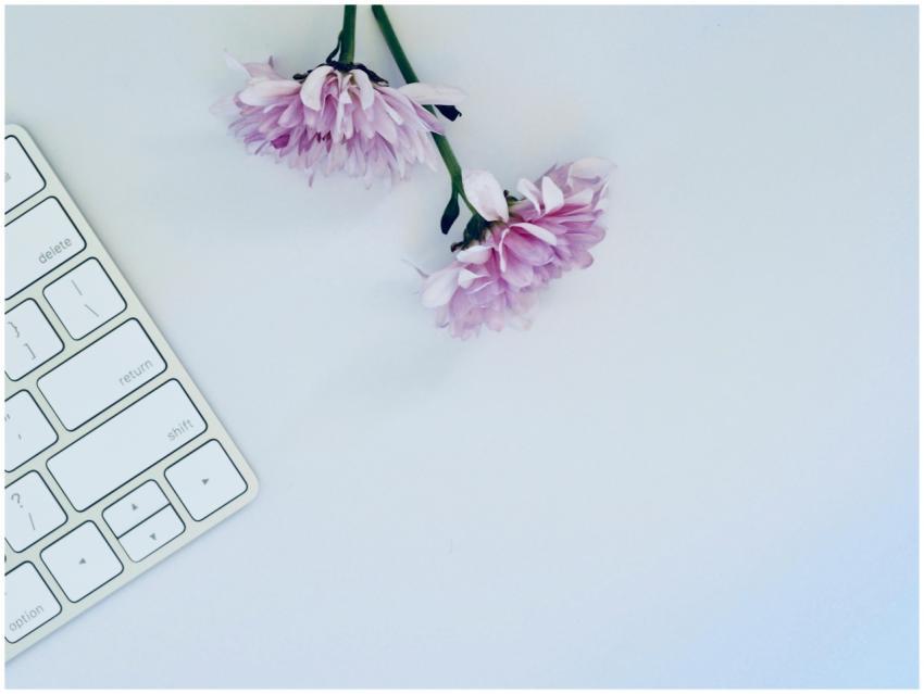 A minimalist flat lay of a white keyboard and purp