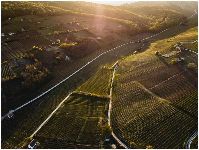 Drone shot of scenic farmland with lush green fiel